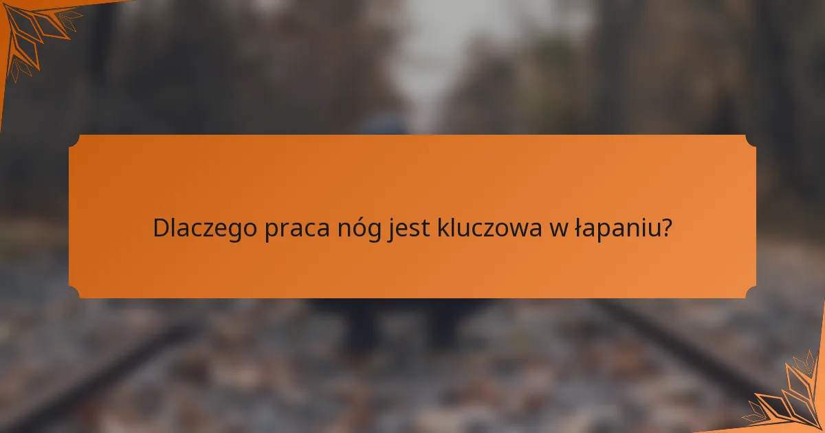 Dlaczego praca nóg jest kluczowa w łapaniu?